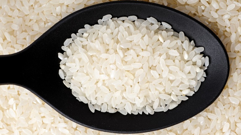 black spoon with calrose rice